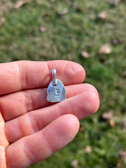 Sterling silver and Patagonia turquoise pendant