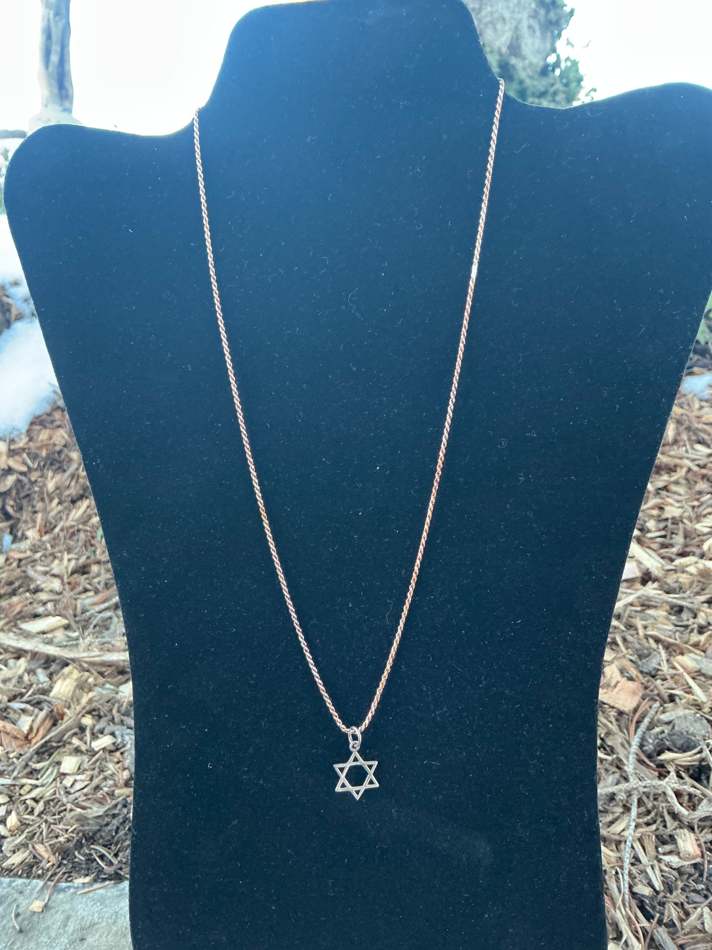 19 inch Sterling Silver Necklace with Star of David Pendant